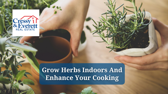 Want to take your cooking to the next level? An indoor herb garden can be easy and rewarding.
